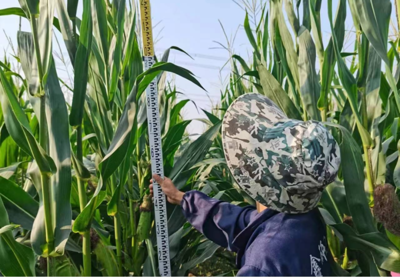 1760494598132064CILT.png 图片10.png