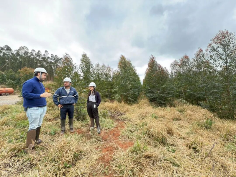 1760496120683110XbGD.png 图片19.png